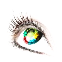 Our Vision