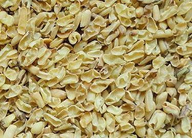 Cassia Tora Seed